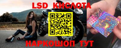 шишки Бузулук