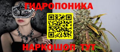 каннабис Будённовск