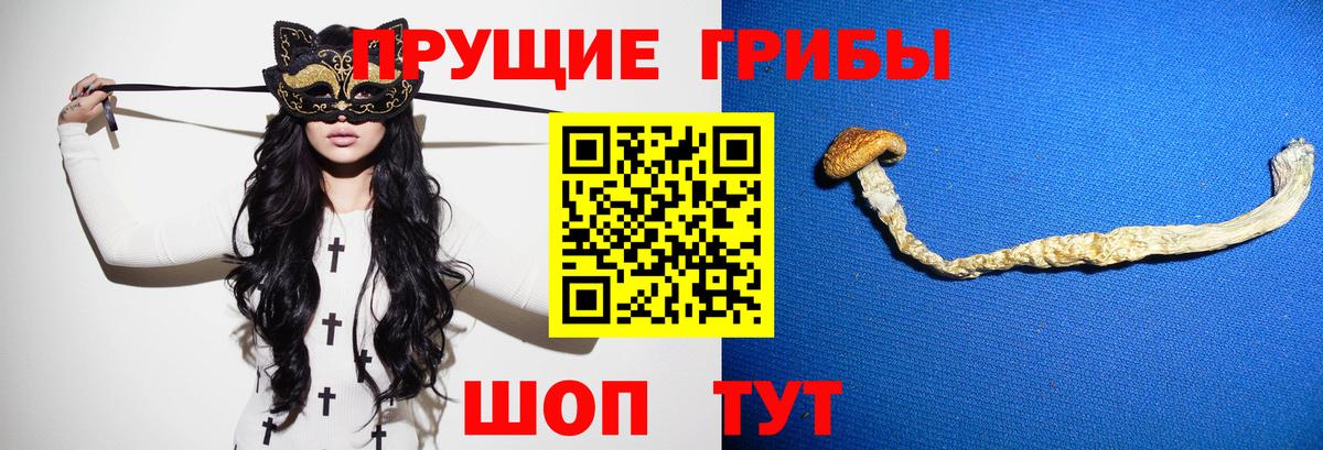 Сегежа  Псилоцибиновые грибы Magic Shrooms  Вход с VPN 